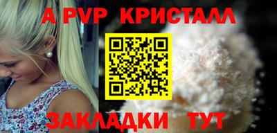 шишки Гай