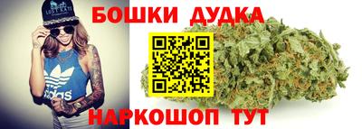 шишки Гай