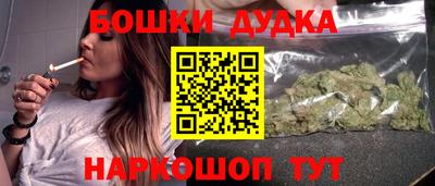 шишки Гай