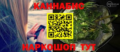 шишки Гай