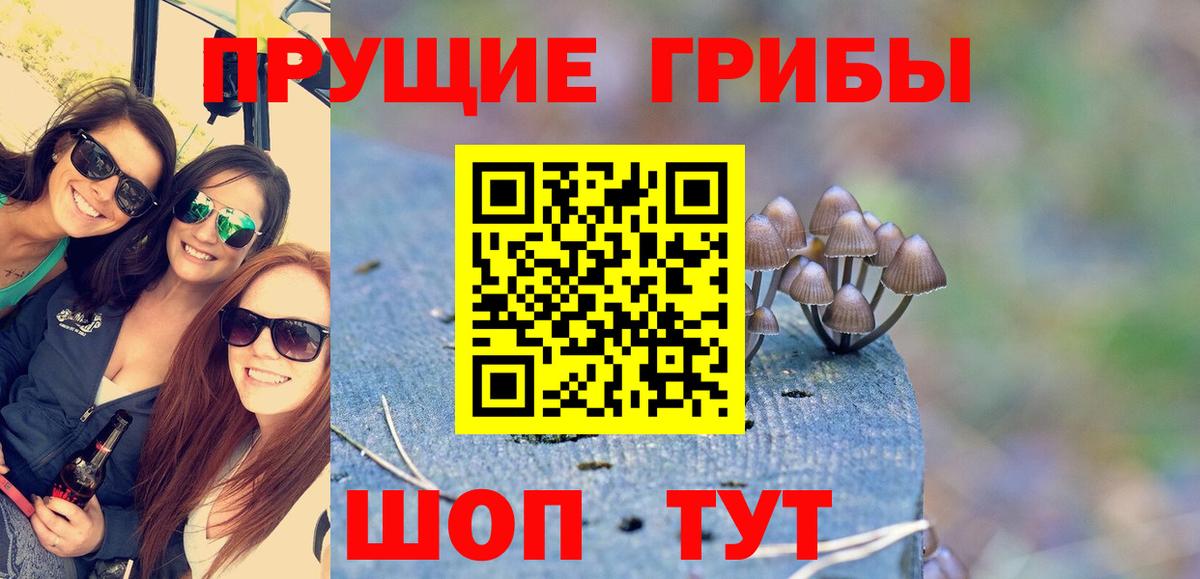 Галлюциногенные грибы Psilocybe Назрань