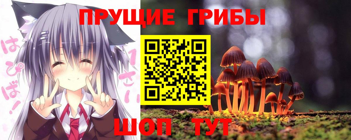 Галлюциногенные грибы ЛСД  Вход с VPN  Псилоцибиновые грибы Cubensis  Назрань 
