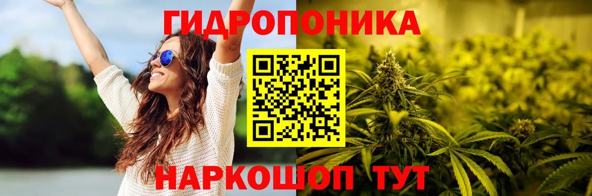 Шишки марихуана тримм  Канабис OG Kush  Вход с VPN  Назрань  Марихуана план 